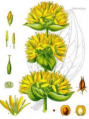�������� ��������: ��������� ������.
