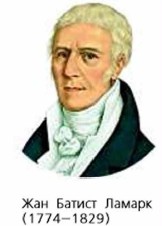 ��� ������ ������ (1774-1829)