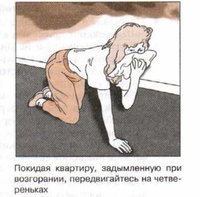 ������� ��������, ����������� ��� ����������, �������������� �� ������������